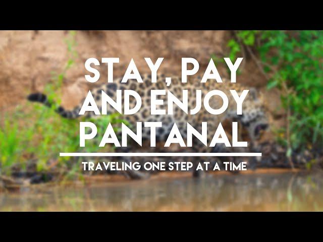 HOW TO GET TO PANTANAL/ WHERE TO STAY | TRAVELING ONE STEP AT A TIME