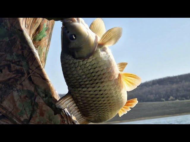 Amazing Unique Fishing Technique #shorts