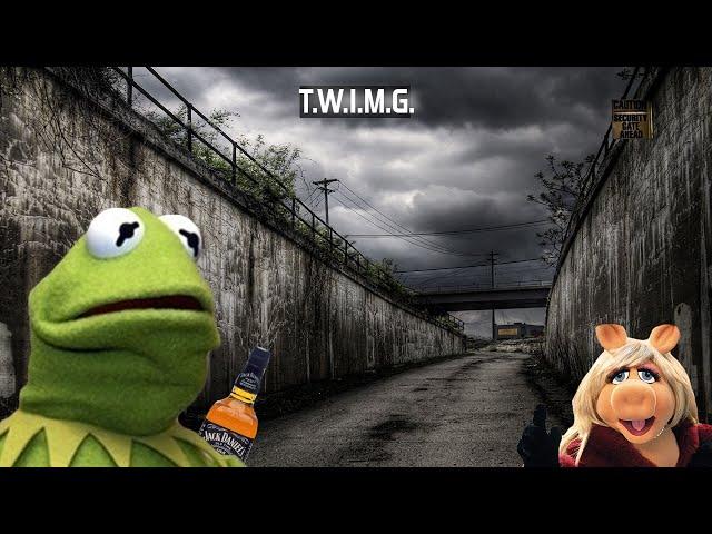 Kermit's rough day