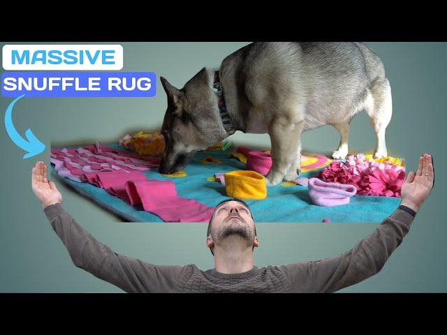 Massive Dog Snuffle Mat DogLemi REVIEW