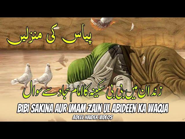 بی بی سکینہ کا امام سجاد سے سوال | بی بی سکینہ کا واقعہ | شہزادی بی بی سکینہ بنت الحسین