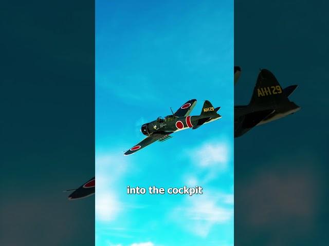 He Took Down A Plane With A Pistol 