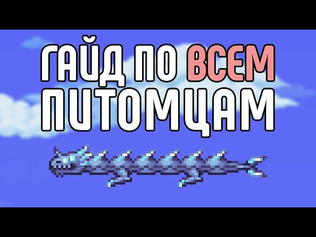 Гайд по ВСЕМ питомцам | Terraria 1.4