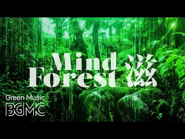 Mind Forest: Beautiful Relaxing Sleep Music - Peaceful Music to Quieten the Mind Before Sleeping