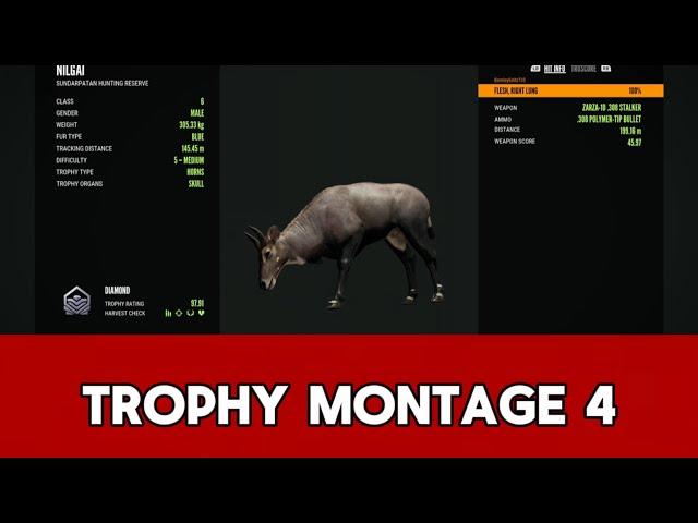 Trophy Montage 4 | The Hunter Call Of The Wild