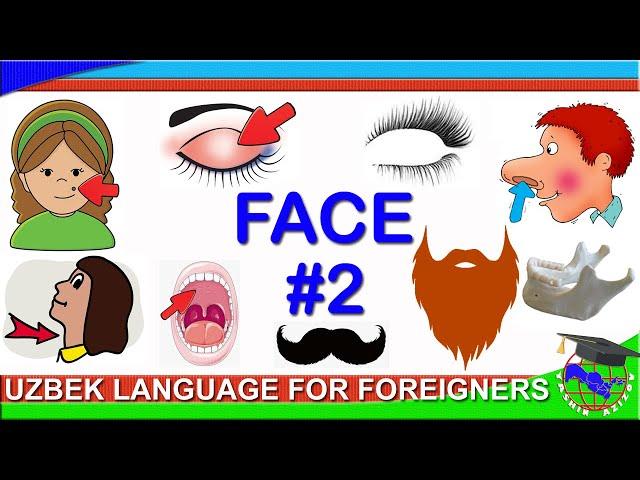 1.5. Parts of the FACE in Uzbek (part 2). Remember parts of the face in Uzbek