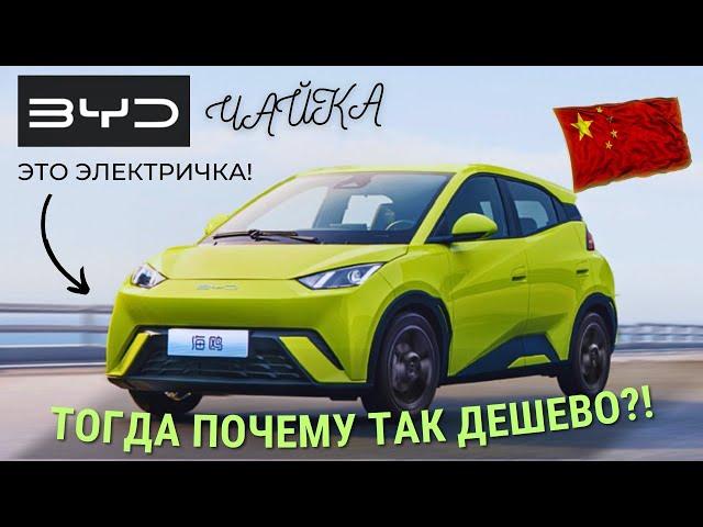 The CHEAPEST Electric Car BYD | Seagull EV Seagull | #avtoizkitaya #BYD #china #seagull #car #review