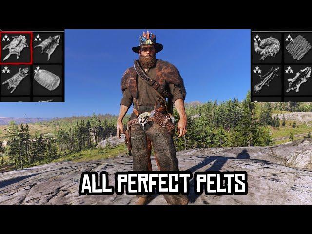 I got a perfect pelt for every animal in Red Dead Redemption 2