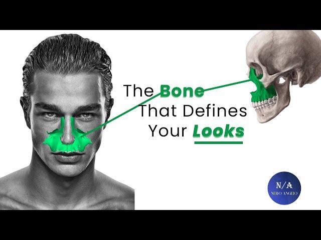 Facial Attractiveness : How The Maxilla Makes or Breaks Your Looks