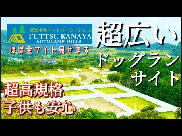 【施設紹介】ワンちゃん大喜び広々ドックランサイト！絶景フリーサイトも！設備充実の快適キャンプ場をご紹介！※千葉　ペット可　ドッグフリーサイト　富津金谷　オートキャンプヒルズ