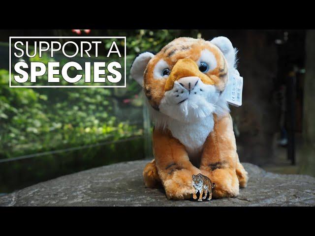 Support a Species - Tigers & Peppermint Narwhal 2024