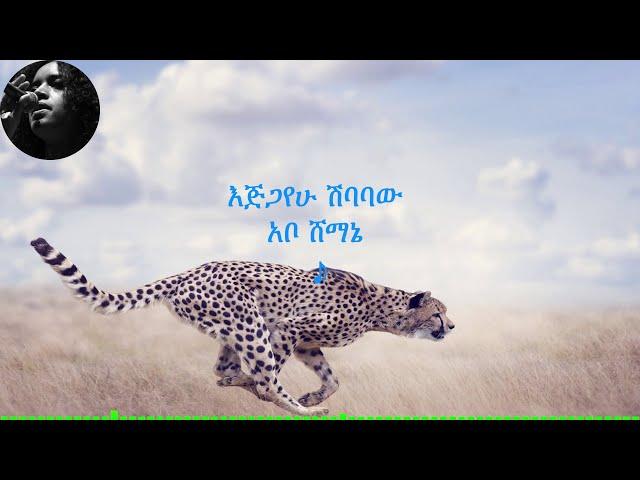 እጅጋየሁ ሽባባው (ጂጂ)፡ አቦ ሸማኔ; Ejigayehu Shibabaw (GiGi)፡ Abo Shemanie