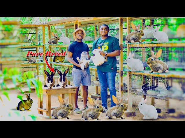 Producing Over 200 Rabbits | Meet the Family That Owns One of the Biggest Rabbit Farms In Ghana.