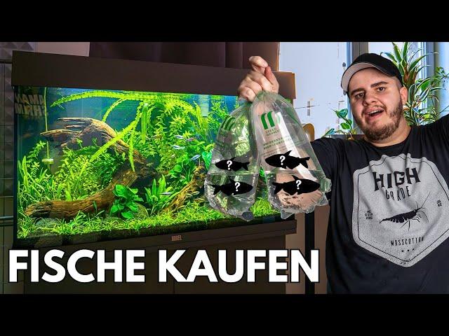 Fische kaufen für mein Juwel Rio 125 Aquarium!