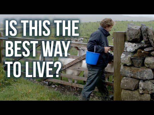 24 hours as an English Farmer