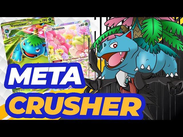 Venusaur EX is the Darkrai CRUSHER in Pokémon Pocket