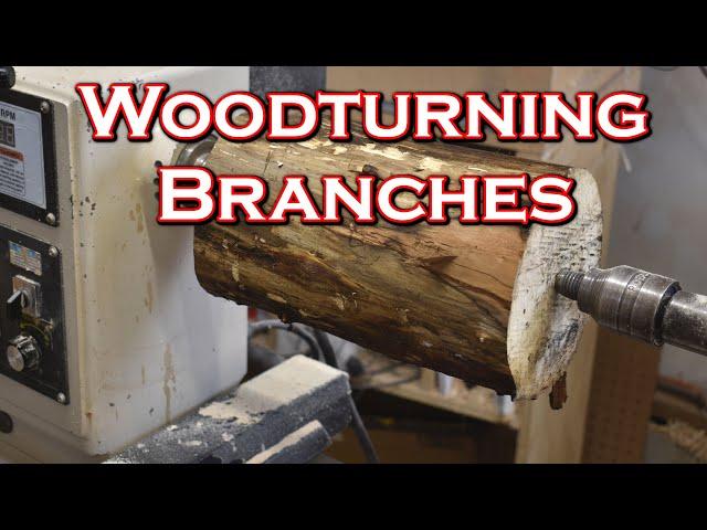 woodturning green branches in 5 easy steps with the pith