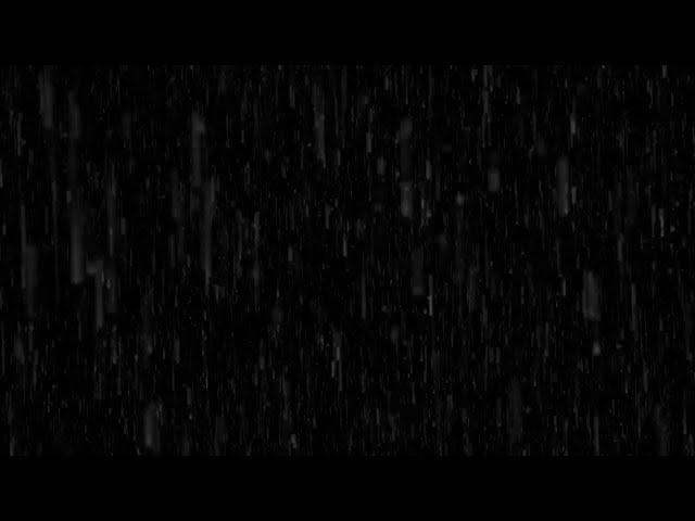 Rain on Leaves, Gentle Rain Sound to Sleep in 3 Minutes, Beat Insomnia, ASMR Rain | Black Screen