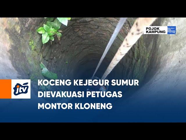 Koceng Kejegur Sumur Dievakuasi Petugas Montor Kloneng | POJOK KAMPUNG JTV