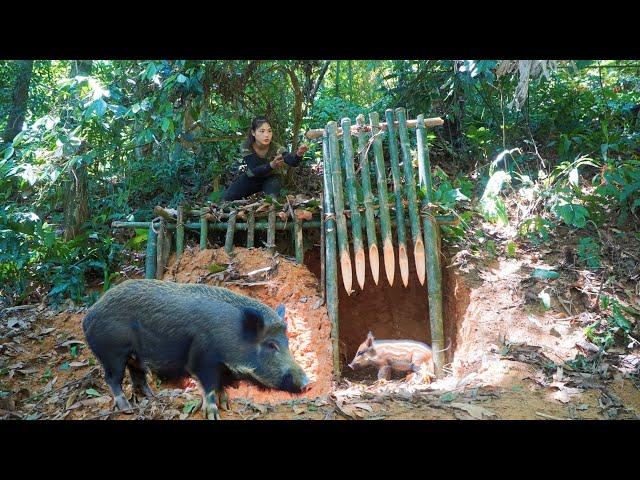 Make a trap cage to trap wild board, Wild boar trapping skills, surrvival alone