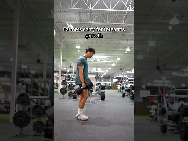 Does Grip Strength = Bigger Forearms?