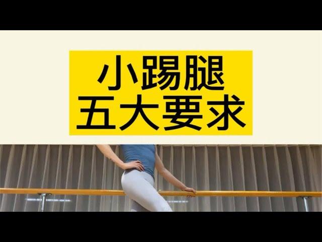 小小踢腿大大要求