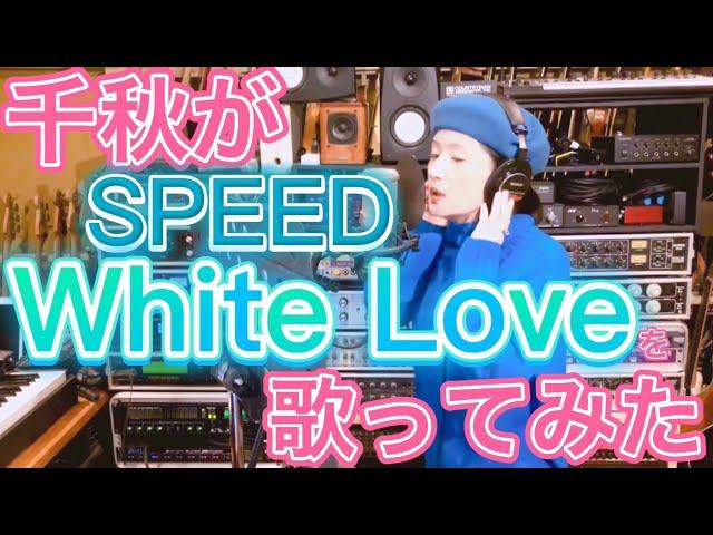 千秋がSPEEDのwhite loveを歌ってみた #speed #whitelove #歌ってみた