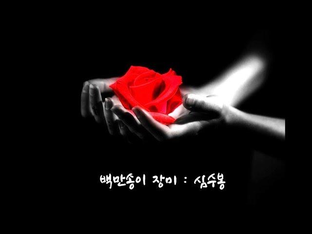 심수봉   백만송이