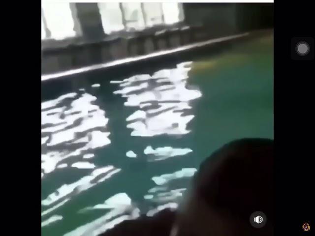 Fat guy cries after going underwater meme