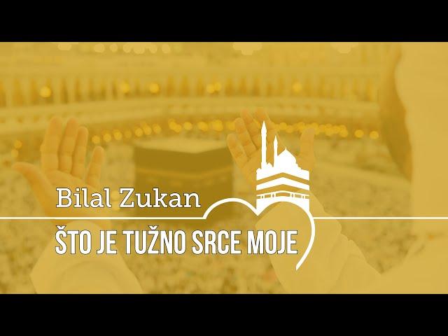 Bilal Zukan - ŠTO JE TUŽNO SRCE MOJE // Novo 2023