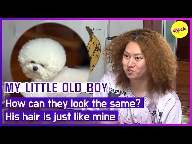 [HOT CLIPS] [MY LITTLE OLD BOY]How can they look the same?His hair is just like mine(ENGSUB)