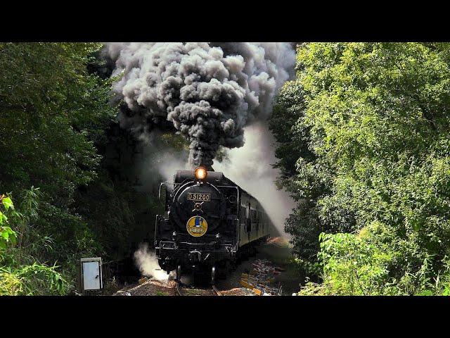 【初秋の爆煙】 SLやまぐち号 D51200号機 　Japanese Steam Locomotive D51 【蒸気機関車】