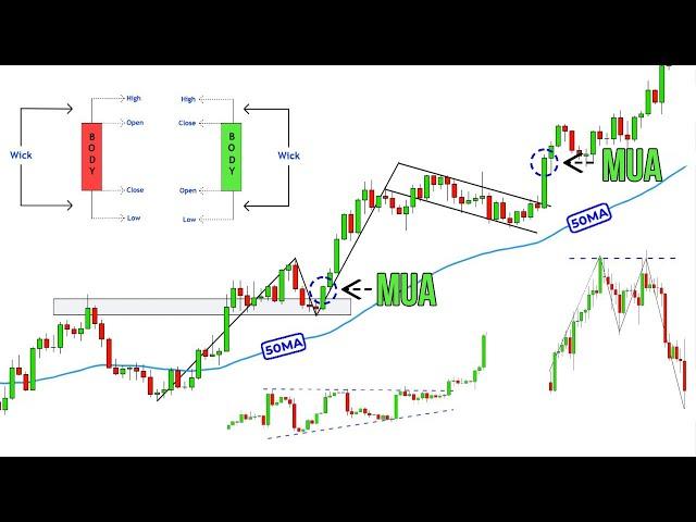 Video Duy Nhất Về Phân Tích Kỹ Thuật Bạn Cần Xem Đến Cuối Đời (Từ Cơ Bản Đến Nâng Cao)