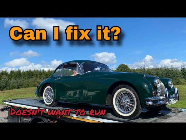 This Jaguar XK150 Doesn't Always Want to Start... Let's fix it!