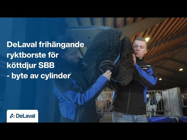 DeLaval swinging beef brush SBB - change of cylinder