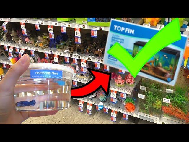 What Items TO BUY For BETTA FISH TANK!