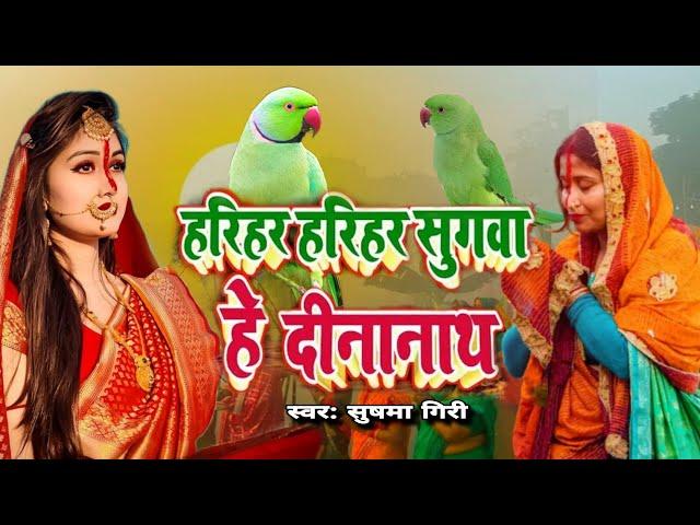 हरियर हरियर सुगवा हे दीनानाथ |Sushma Giri | छठ पूजा गीत