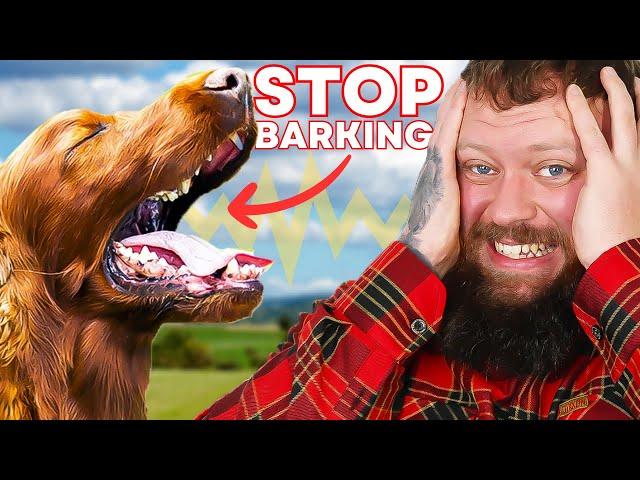 How To Stop Your Dog Barking - You Can Do This Right Now