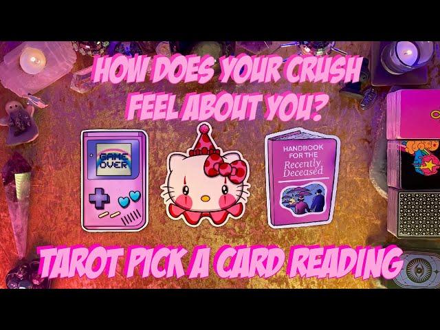 How Does Your Crush Feel About You? Will Anything Happen Between YouTarot Pick a Card Love Reading