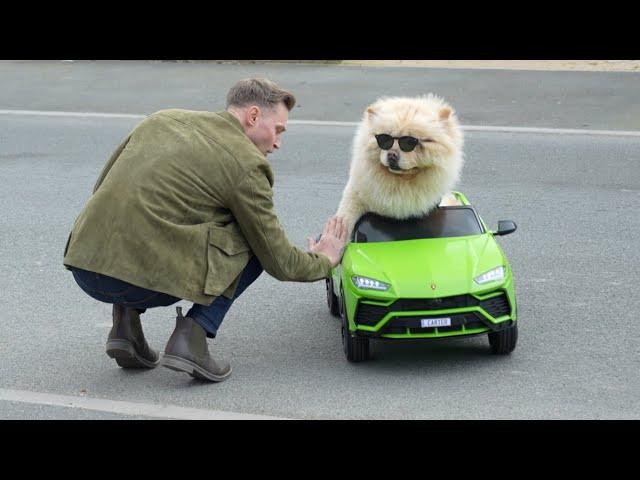 I BOUGHT MY DOG HIS DREAM CAR | Spend The Week With Us | Carl Cunard