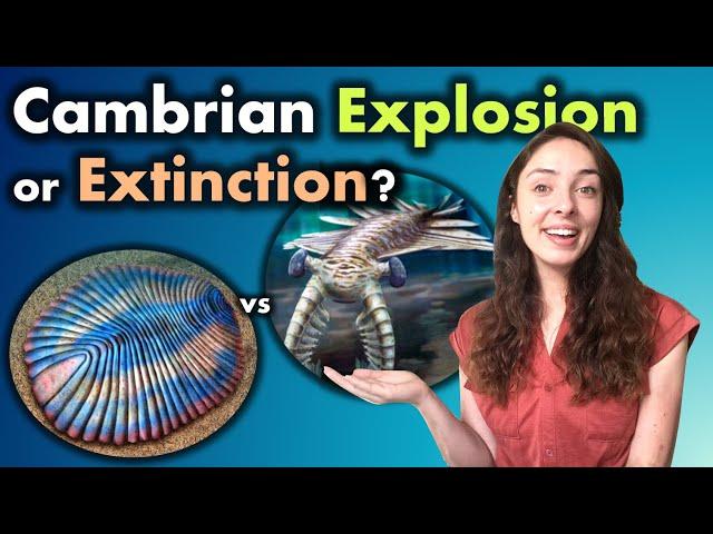 Cambrian Explosion- More like PREcambrian Explosion & Cambrian Skeletonization | GEO GIRL