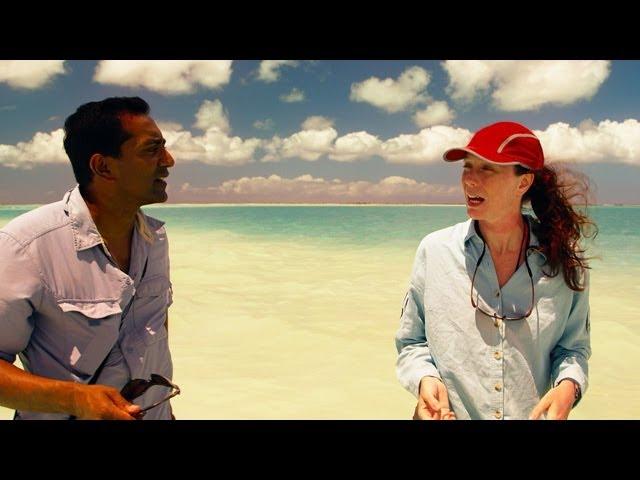 Years of Living Dangerously Season 1: Episode 3 Clip - Christmas Island