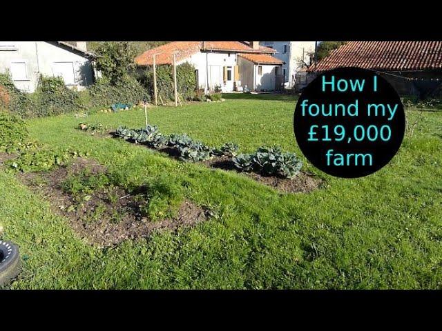 Buying my £19,000 farm - My homestead renovation