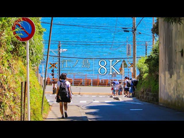 [Seaside town that suits youth] 10 scenic spots in Enoshima - JAPAN in 8K