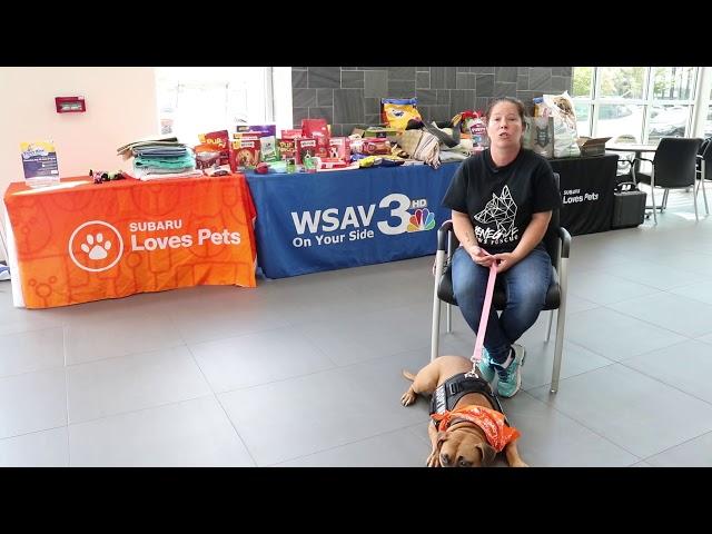 WSAV The Bridge/Renegade Paws Rescue (Jennifer)