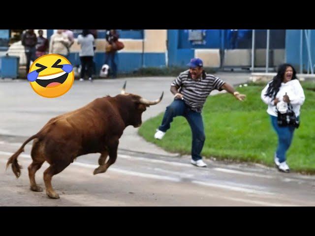 TRY NOT TO LAUGH  Best Funny Videos Compilation  Memes PART 230