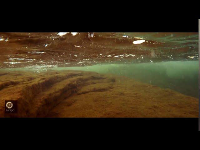 Analog Expanse - Don't Know | Official Music Video