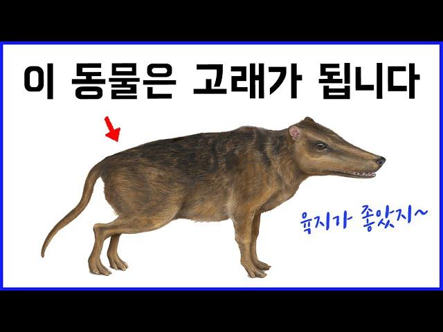 육상동물이었던 고래의 파격적 진화! - 해양포유류와 어류의 차이