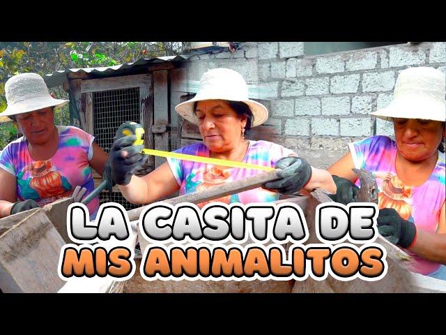 REPARANDO LA JAULA DE MIS CUYES | Señora Marianita