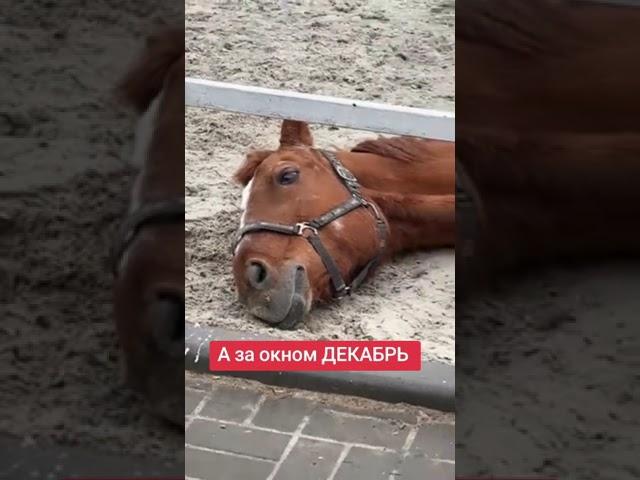 Как прекрасен этот мир посмотри #школаверховойезды